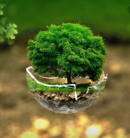 Green Envirocare Private Limited